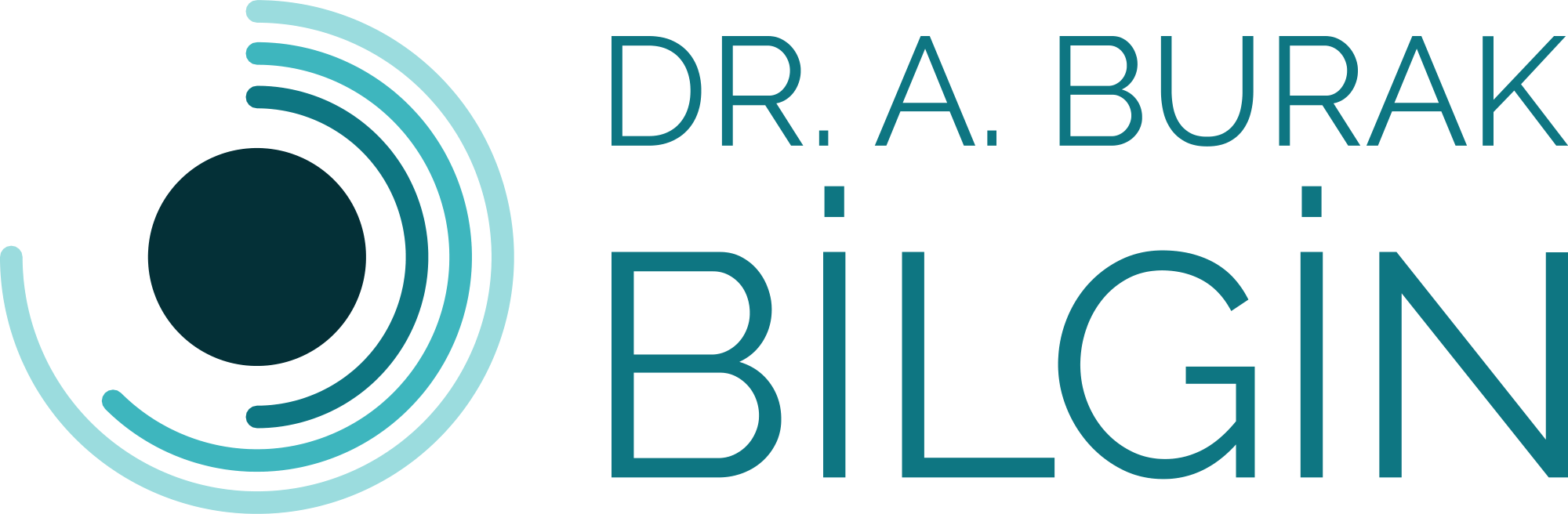 Prof. Dr. A. Burak Bilgin